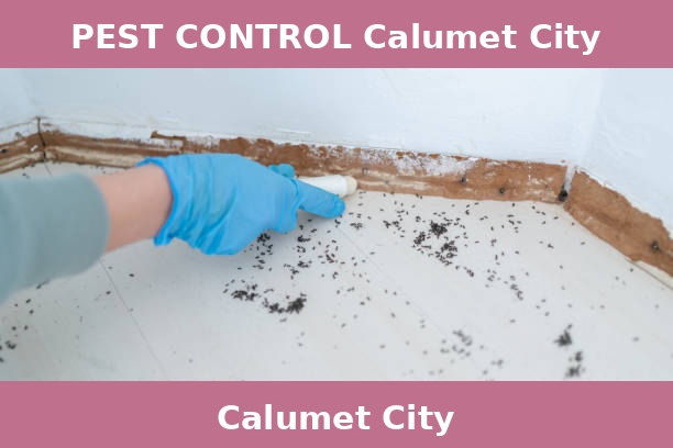 PEST CONTROL Calumet City